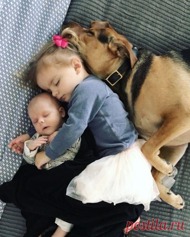 Gefällt 22.8 Tsd. Mal, 268 Kommentare - Jessica Shyba (@mommasgonecity) auf Instagram: „Three Amigos #theoandevvie #darlingdemi“