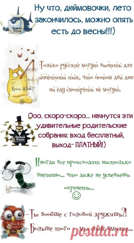 Прикольные фразочки в картинках