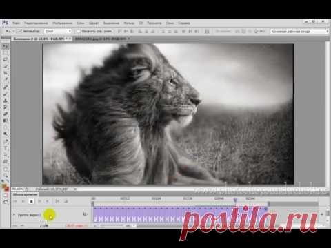 PhotoshopSunduchok - О чёрно-белых фотографиях и проблемах перевода цветной фотографии в изображение в градациях серого