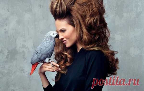 Виды укладки волос (39 фото) без вреда: женская, легкая, экспресс, на свадьбу, на одну сторону, которые молодят, на ночь, видео-инструкция как сделать своими руками, фото и цена