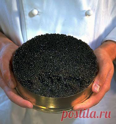 Кризис на дворе, а «красная икра» и «черная икра» на столе
