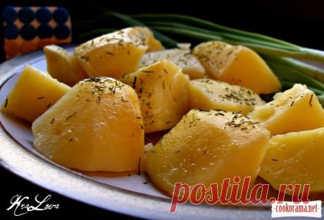 Картопля в банці (за Дарією Цвек) / Українська кухня / Кукорама — смачні рецепти!