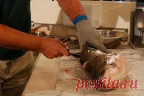 Балык из толстолобика