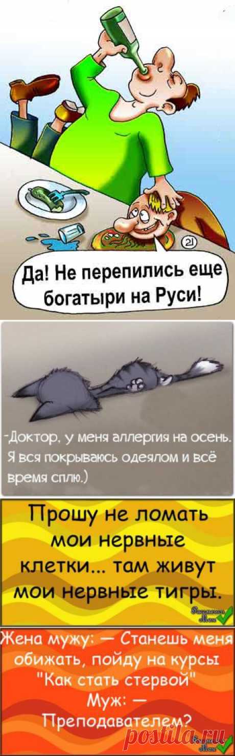 ЮМОР, ПОЗИТИВ | Записи в рубрике ЮМОР, ПОЗИТИВ | Дневник Надюши