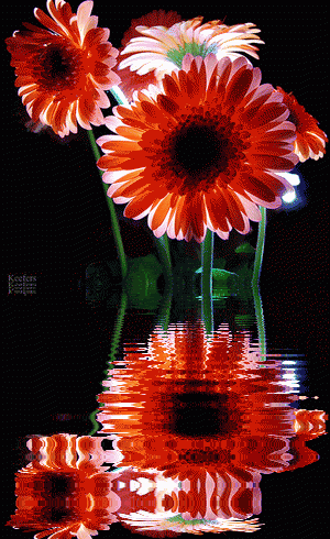 BEAUTIFUL PICTURES – Google+