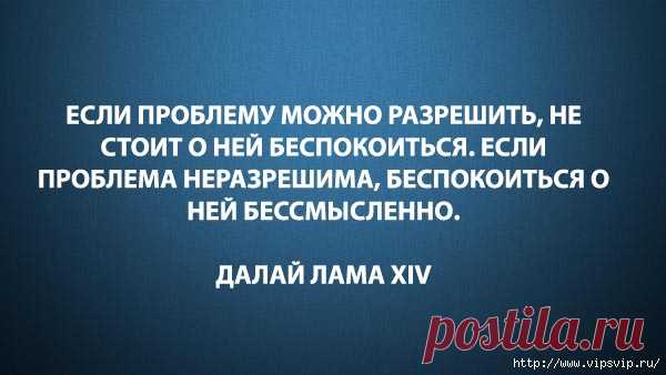 Лучшее из лучшего!