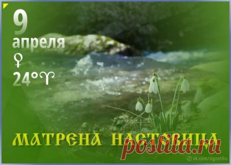 С праздником Полурепицы! Желаю, чтобы, как и в старину, сегодня вы легко разделили дела на важные и срочные, и все успели. Пусть святая Матрена помогает в домашних делах, а наст жизни будет крепким! Открытки на Матрена Настовица (Полурепица)!