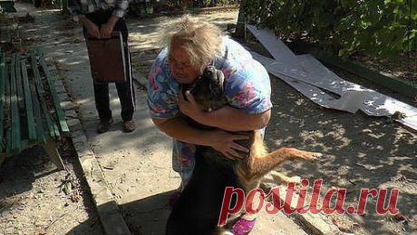 (65) Одноклассники