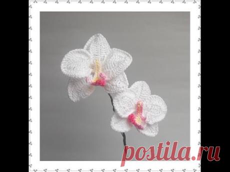 ORCHID A - YouTube