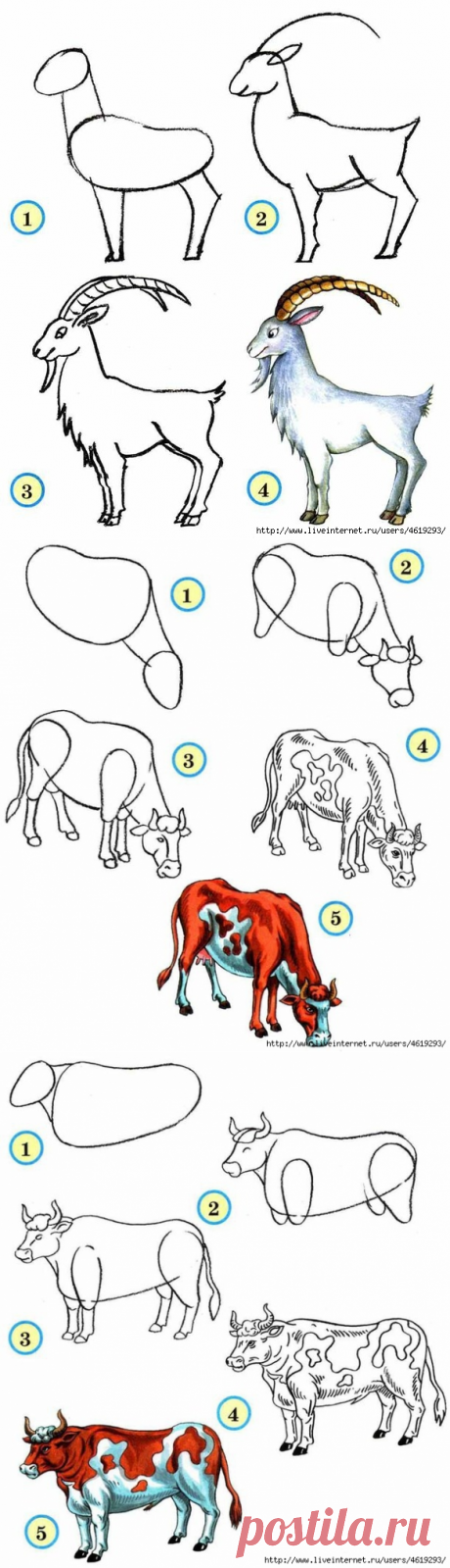 Учимся рисовать животных — Сделай сам, идеи для творчества - DIY Ideas