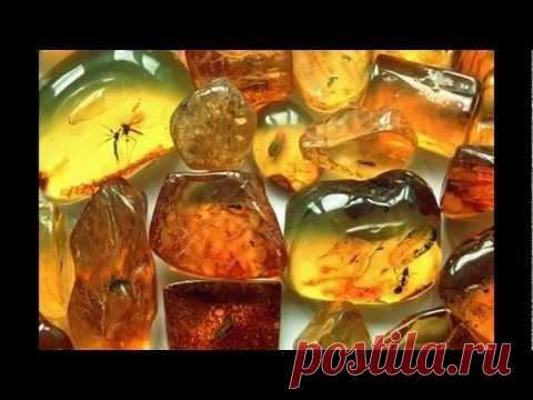 Деревья из янтаря. | ЛЕС БИСЕРА lesbisera.ru