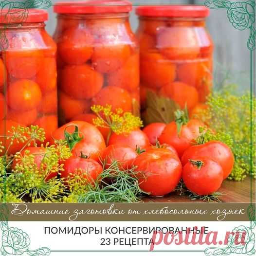 (20+) Вероніка Гуцуляк | Facebook