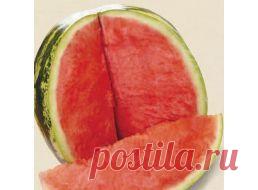 Семена овощей