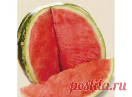 Семена овощей