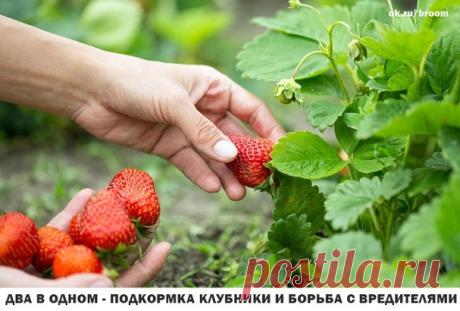1 непрочитанный чат