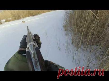 Охота на зайца  Первым поспешишь   Вторым опоздаешь