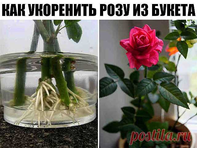 Одноклассники