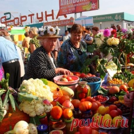 Сезонный календарь овощей и фруктов: когда и что покупать. Советы от знакомого поставщика! - МирТесен