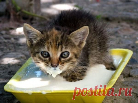 А что в рот не войдет - пусть через кожу впитывается...