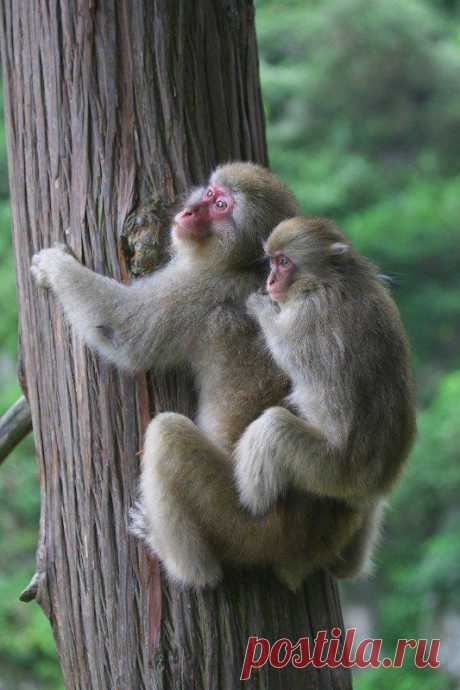 Мой Мир@Mail.Ru