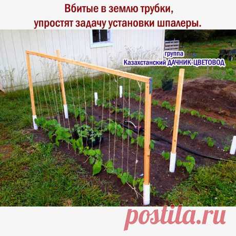 Одноклассники