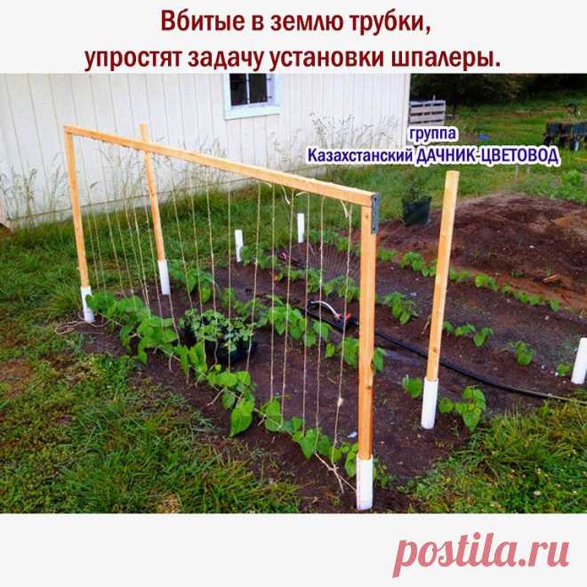 Одноклассники