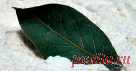 Как избавиться от лишнего веса, повышенного газообразования, кашля, отеков и не только с помощью этого чая - interesno.win