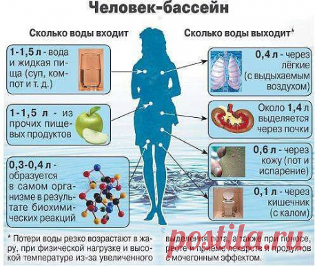 Вода - это жизнь!