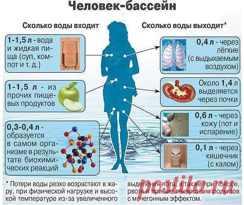 Вода - это жизнь!