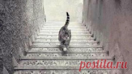 (20+) Добро пожаловать! | LinkedIn