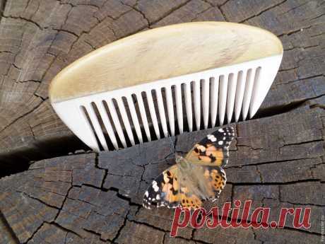 407508283 (1500×1125)