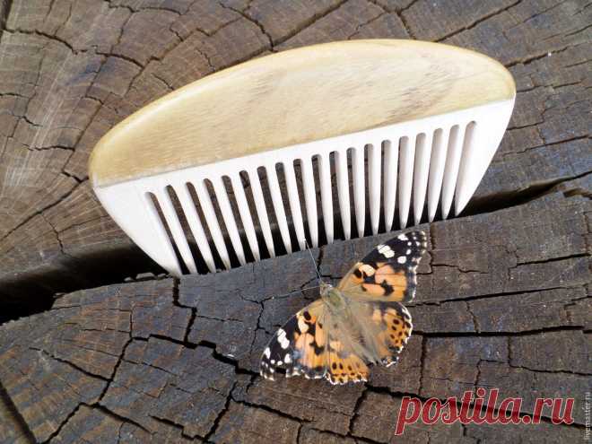 407508283 (1500×1125)