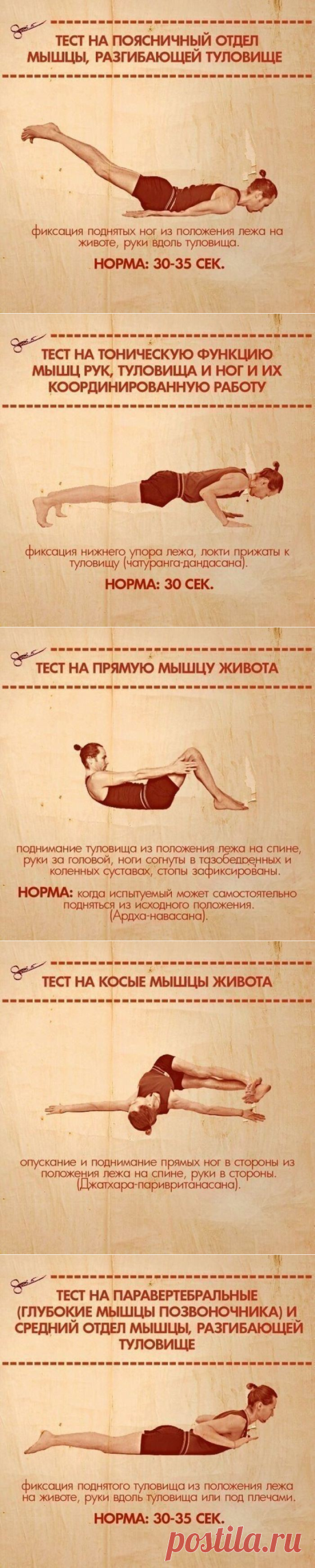 10 простых упражнений, которые покажут ваши слабые места » Женский Мир
