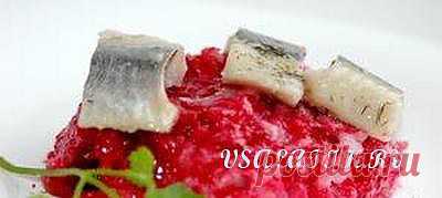 Салат с рисом и селедкой » Мировые кулинарные рецепты, рецепты с фото, рецепты салатов, рецепты салатов 2013, рецепты салатов с фотографиями