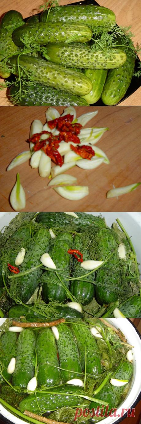 ОГУРЦЫ МАЛОСОЛЬНЫЕ - РЕЦЕПТ МОЕЙ ПРАБАБУШКИ .