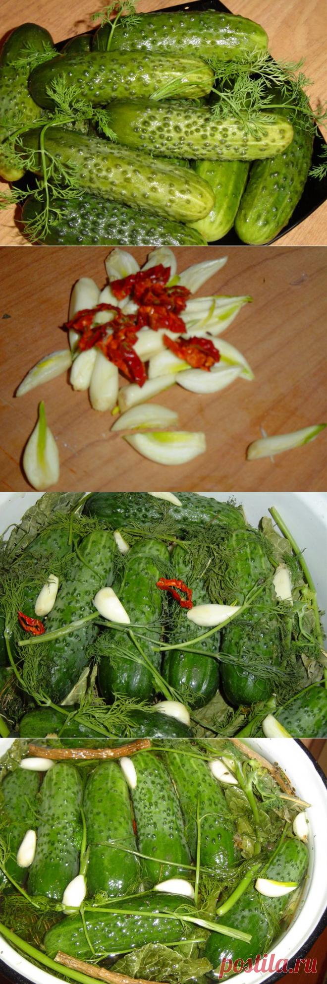 ОГУРЦЫ МАЛОСОЛЬНЫЕ - РЕЦЕПТ МОЕЙ ПРАБАБУШКИ .