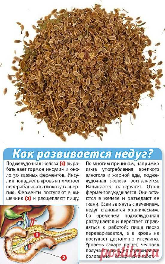 СКОРАЯ ПОМОЩЬ ПРИ ПАНКРЕАТИТЕ