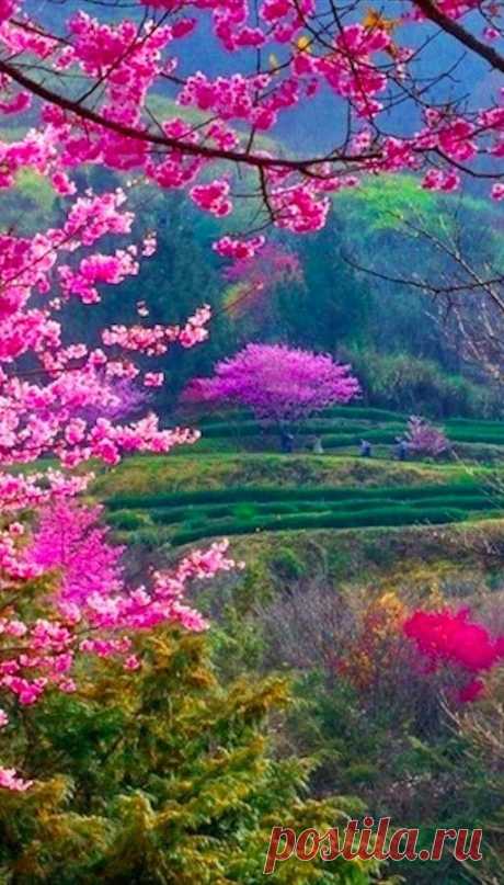 Hermoso paisaje! | Pinterest • Всемирный каталог идей