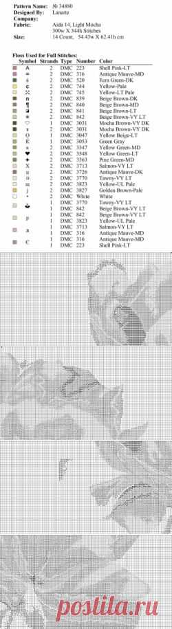 Яркий пион / Вышивка крестом / В рукоделии