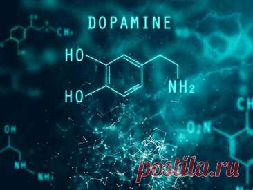 Повышаем дофамин. Эффективные добавки Гормон дофамин синтезируется в головном мозге и необходим для нашей памяти, обучения, мотивации, улучшения настроения, полноценного сна. Какие добавки помогут естественным образом стимулировать синтез дофамина, чтобы улучшить настроение, обучаемость, когнитивные функции? Вот полный список.