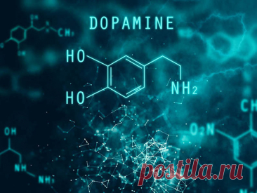 Повышаем дофамин. Эффективные добавки Гормон дофамин синтезируется в головном мозге и необходим для нашей памяти, обучения, мотивации, улучшения настроения, полноценного сна. Какие добавки помогут естественным образом стимулировать синтез дофамина, чтобы улучшить настроение, обучаемость, когнитивные функции? Вот полный список.