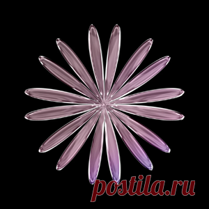 BOg - Work Your Body | 4DJsonline.com