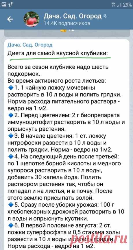 (3) Pinterest