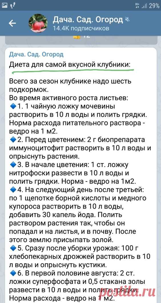 (3) Pinterest