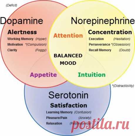 More at https://perkins-psychology.tumblr.com/ - Perkins Counseling