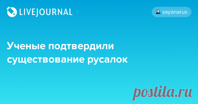 Ученые подтвердили существование русалок Национальное управление океанических и атмосферных исследований (NOAA) подтвердило, что русалки на самом деле существуют и обитают в водоемах по всему миру. Как утверждают специалисты, волшебные женщины, первые упоминания о которых встречаются в наскальных рисунках, сделанных в конце палеолита…
