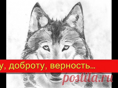 Школа мудрости-притча о двух волках - YouTube