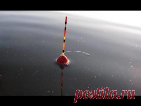 Ловля карася на поплавок