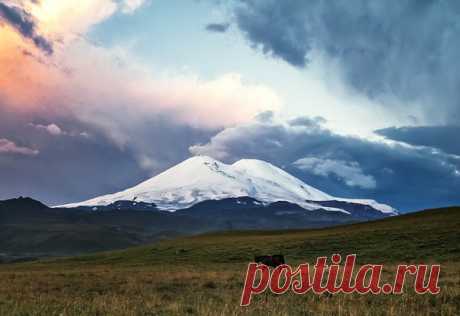 «Один в поле». Рассвет на поляне Эммануэля, Кабардино-Балкария. Автор фото — Сергей Попрошаев: nat-geo.ru/photo/user/51279/