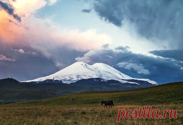 «Один в поле». Рассвет на поляне Эммануэля, Кабардино-Балкария. Автор фото — Сергей Попрошаев: nat-geo.ru/photo/user/51279/